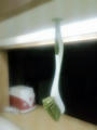 blog090325_2.jpg