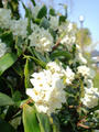 blog090327_1.jpg