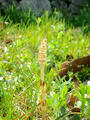 blog090331_1.jpg