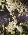 blog090403_1.jpg