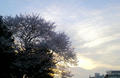 blog090403_4.jpg