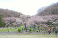 blog090405_1.jpg