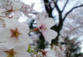 blog090405_2.jpg