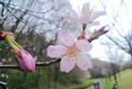blog090405_3.jpg