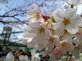 blog090405_4.jpg