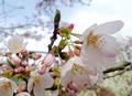 blog090405_5.jpg