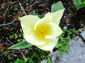 blog090406_1.jpg