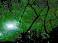 blog090408_1.jpg
