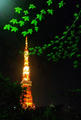 blog090408_2.jpg