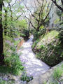 blog090409_1.jpg