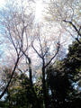 blog090409_2.jpg