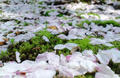 blog090409_3.jpg