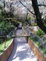 blog090409_4.jpg