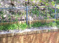 blog090409_5.jpg