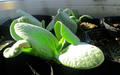 blog090412_1.jpg