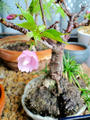 blog090413_1.jpg