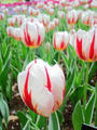 blog090418_2.jpg