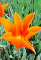 blog090418_3.jpg