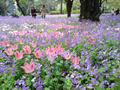 blog090418_4.jpg