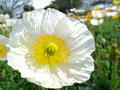 blog090418_5.jpg