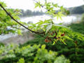 blog090418_6.jpg