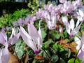 blog090418_7.jpg