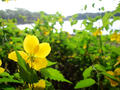 blog090418_8.jpg