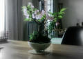 blog090420_1.jpg