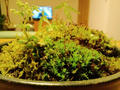 blog090426_3.jpg