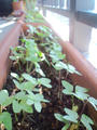 blog090427_1.jpg