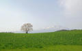 blog090402_1.jpg