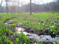 blog090403_01.jpg