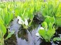 blog090403_02.jpg