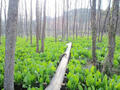 blog090403_03.jpg
