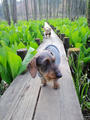 blog090403_04.jpg