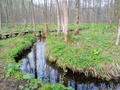 blog090403_05.jpg