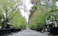 blog090403_08.jpg