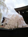 blog090403_09.jpg