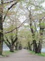 blog090403_12.jpg