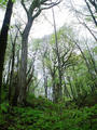 blog090403_14.jpg