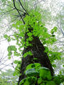 blog090403_15.jpg