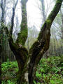 blog090403_16.jpg