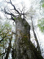 blog090403_17.jpg