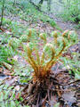 blog090403_20.jpg