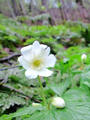 blog090403_21.jpg
