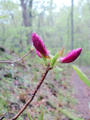 blog090403_22.jpg