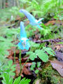 blog090403_23.jpg