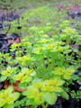 blog090403_24.jpg