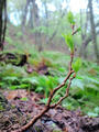blog090403_26.jpg