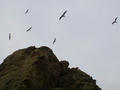 blog090403_29.jpg